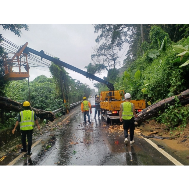 添福北111縣道 倒樹移除 _8_.jpg